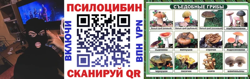 Галлюциногенные грибы Psilocybine cubensis  Слободской 